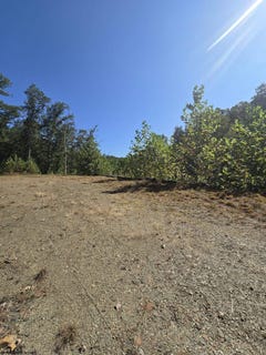 /international/us/woodland-drive-lot-28-beverly-wv-110101916291/