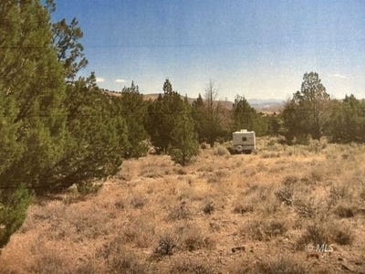 /international/us/tuledad-canyon-termo-ca-110103626161/