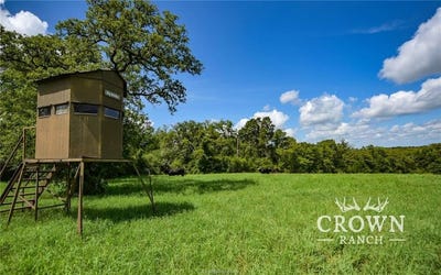 /international/us/tbd-fm-908-1-057-acres-caldwell-tx-110101191306/