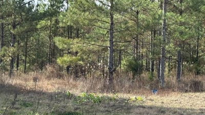 /international/us/01-norris-homewood-rd-forest-ms-110120556780/