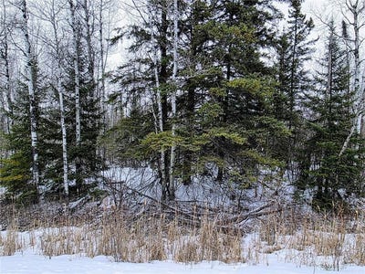 /international/us/tbd-county-road-91-international-falls-mn-110106552521/