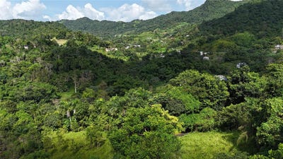 /international/us/km-8-0-int-pr-765-bo-san-salvador-caguas-pr-110103232711/