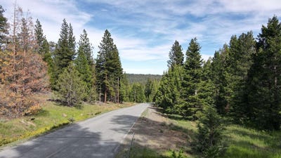 /international/us/california-pines-boulevard-alturas-ca-110106560217/