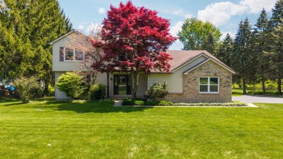 /international/us/5819-shagbark-drive-ann-arbor-mi-110108206971/
