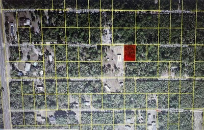 /international/us/ne-234th-lane-lot-22-fort-mc-coy-fl-110110379884/