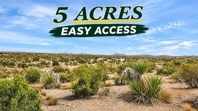 /international/us/351-14-028-n-quintana-road-dolan-springs-az-110120579886/