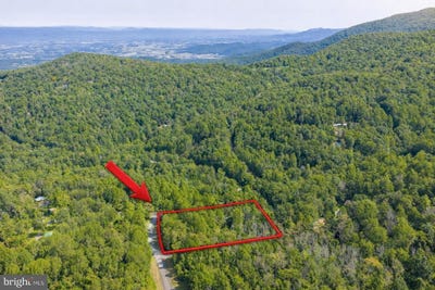 /international/us/lot-d45-49-stanley-va-110100120850/