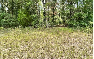 /international/us/tbd-county-road-349-obrien-fl-110108917615/