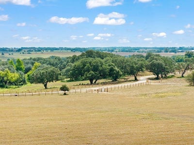/international/us/3153-fm-956-lot-3-freyburg-area-schulenburg-tx-110119887745/