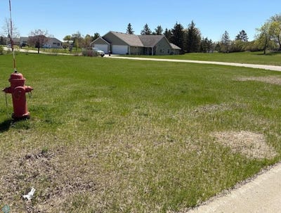 /international/us/red-willow-circle-lot-4-5-frazee-mn-110109118082/