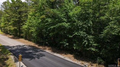 /international/us/wilderness-road-greenbrier-ar-110108497695/
