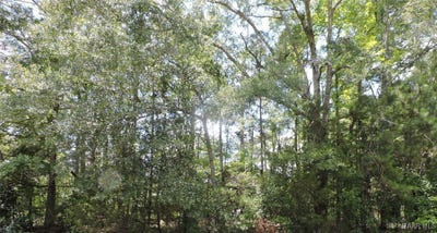 /international/us/0-ridge-road-greenville-al-110100579661/