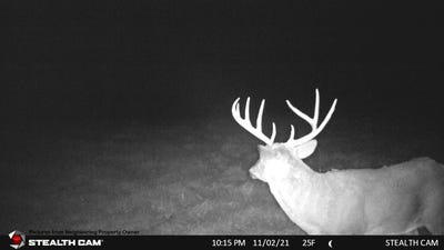 /international/us/elk-creek-road-viola-wi-110101056684/?lang=zh-cn