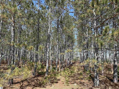 /international/us/lot-4-meadow-lane-thompsonville-mi-110098404340/