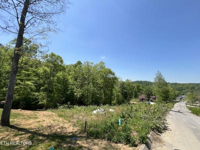 /international/us/330-timber-creek-rd-maynardville-tn-110099010441/