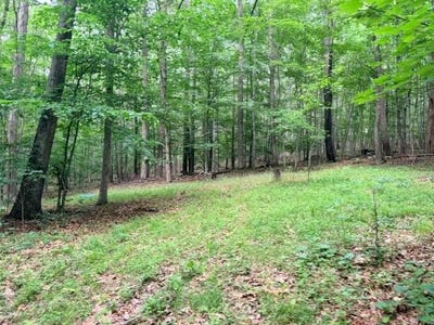 /international/us/molly-mann-rd-hinton-wv-110108660684/