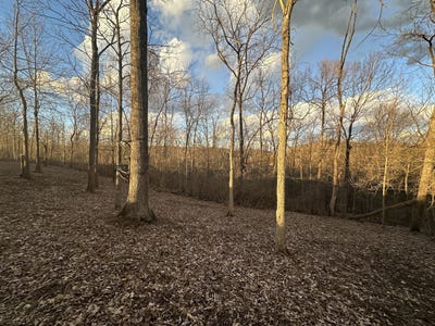 /international/us/0-lot-5-nicholas-ridge-road-verona-ky-110100797174/?lang=zh-cn