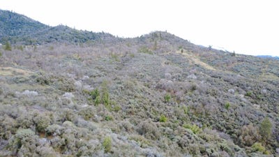 /international/us/apn-195-070-01-miramonte-ca-110104516325/