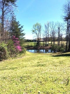 /international/us/1-nelson-mill-road-jamestown-ky-110106321703/