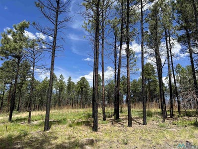 /international/us/152-calle-retiro-road-rociada-nm-110100308643/?lang=zh-cn