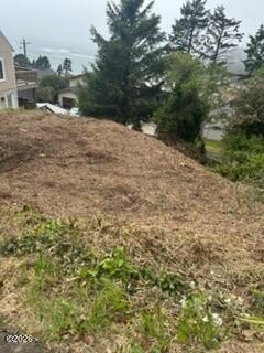 /international/us/tl9501-ne-bensall-avenue-depoe-bay-or-110108223263/