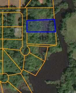 /international/us/lot-17-county-road-198-success-ar-110100899130/