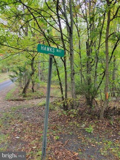 /international/us/hawks-way-delray-wv-110110396921/
