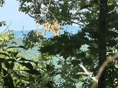 /international/us/0000-boone-gap-lane-taylorsville-nc-110100527888/?lang=en