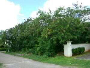 /international/us/tun-constancia-rivera-lane-tamuning-gu-110107661835/