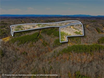 /international/us/1324-hardie-mabe-road-danbury-nc-110105920069/