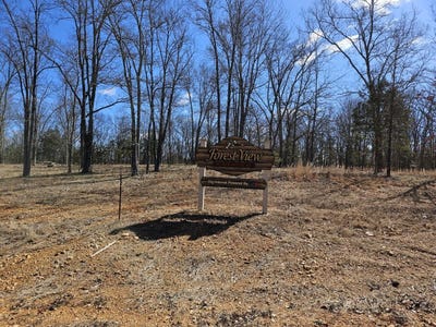 /international/us/forest-view-estates-lot-1-skyline-dr-steelville-mo-110105285098/