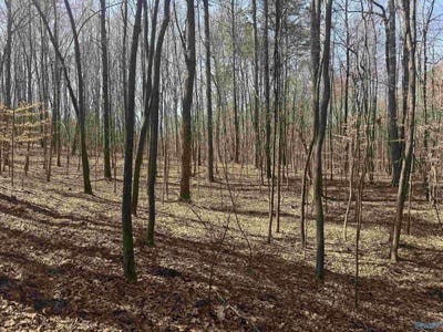/international/us/lot-18-county-road-822-collinsville-al-110098278419/?lang=zh-tw