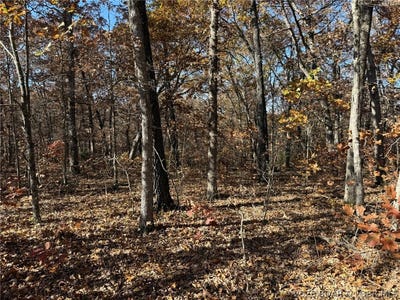/international/us/40-acres-whitetail-way-lincoln-mo-110108172140/