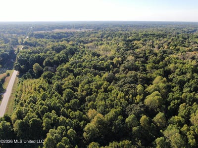 /international/us/17-star-landing-road-nesbit-ms-110120121558/