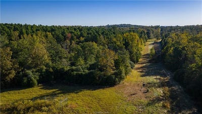 /international/us/15383-cr-236-oakwood-tx-110107226769/