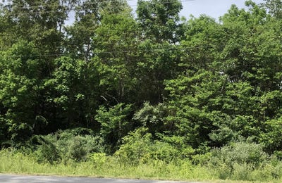 /international/us/e-lakeshore-drive-cherokee-village-ar-110101447598/?lang=zh-tw