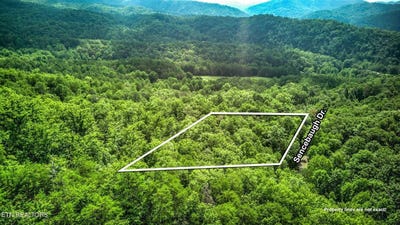 /international/us/sencebaugh-drive-sevierville-tn-110101252634/?lang=zh-tw