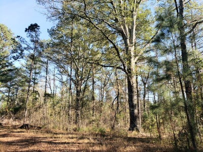 /international/us/000-county-road-35-midway-al-110090437587/?lang=zh-tw