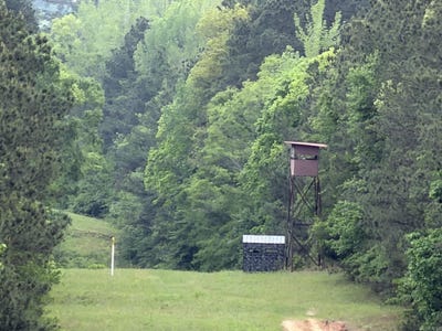 /international/us/nevada-161-willisville-ar-110107573092/