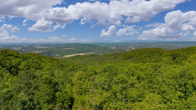 /international/us/18-acres-blake-rd-buchanan-va-110108176820/