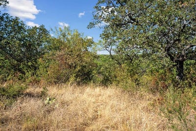 /international/us/tract-7-state-highway-6-moran-tx-110100837464/