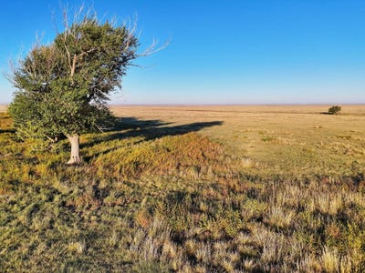 /international/us/county-road-37-hartman-co-110120423016/