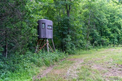 /international/us/21202-state-highway-mm-glen-allen-mo-110100324426/?lang=zh-tw