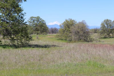 /international/us/lot-22-bay-meadows-lane-cottonwood-ca-110096806143/