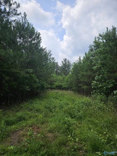 /international/us/1150-county-road-865-collinsville-al-110100414778/?lang=zh-tw