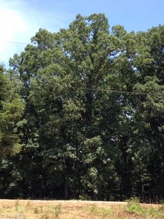 /international/us/20-old-quarry-road-state-road-nc-110082299487/