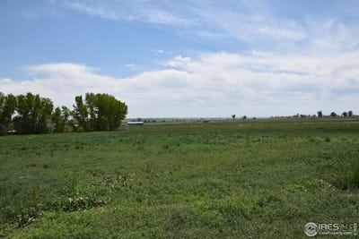 /international/us/3113-county-road-17-brighton-co-110098307633/