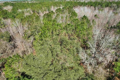 /international/us/2894-sw-overstreet-avenue-greenville-fl-110109574447/