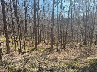 /international/us/maple-grove-road-moscow-pa-110097355000/?lang=zh-cn