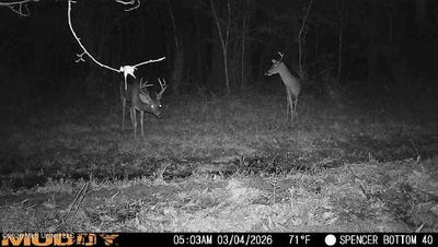 /international/us/bogue-chitto-road-bogue-chitto-ms-110106144363/
